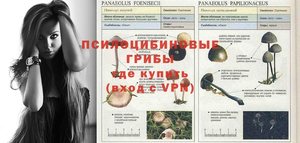 первитин Абинск
